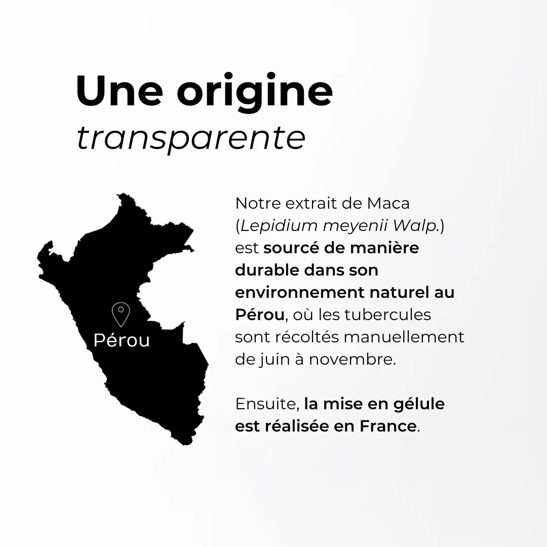 Cuure Maca quality