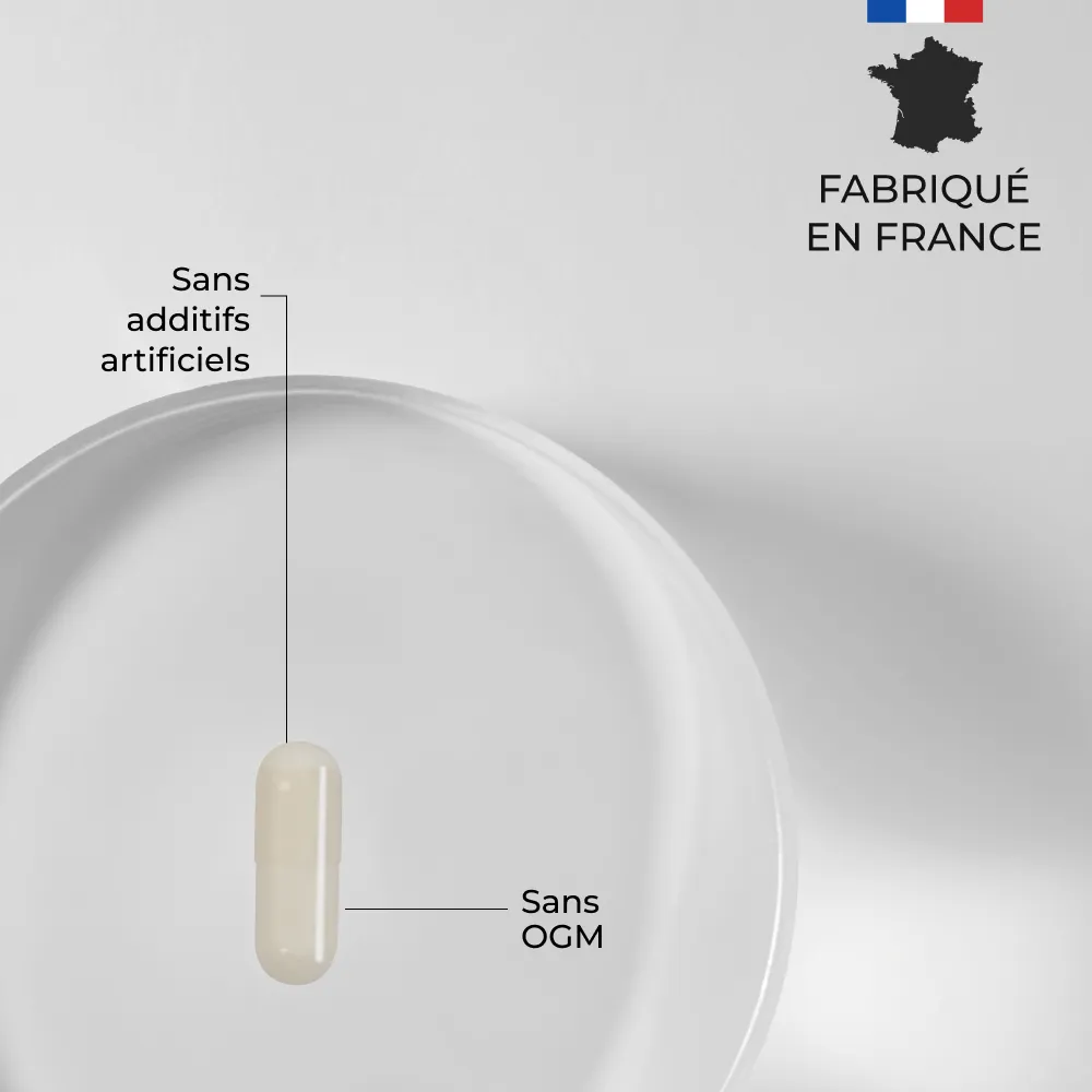 Gélule de Magnésium L-Thréonate fabriquée en France