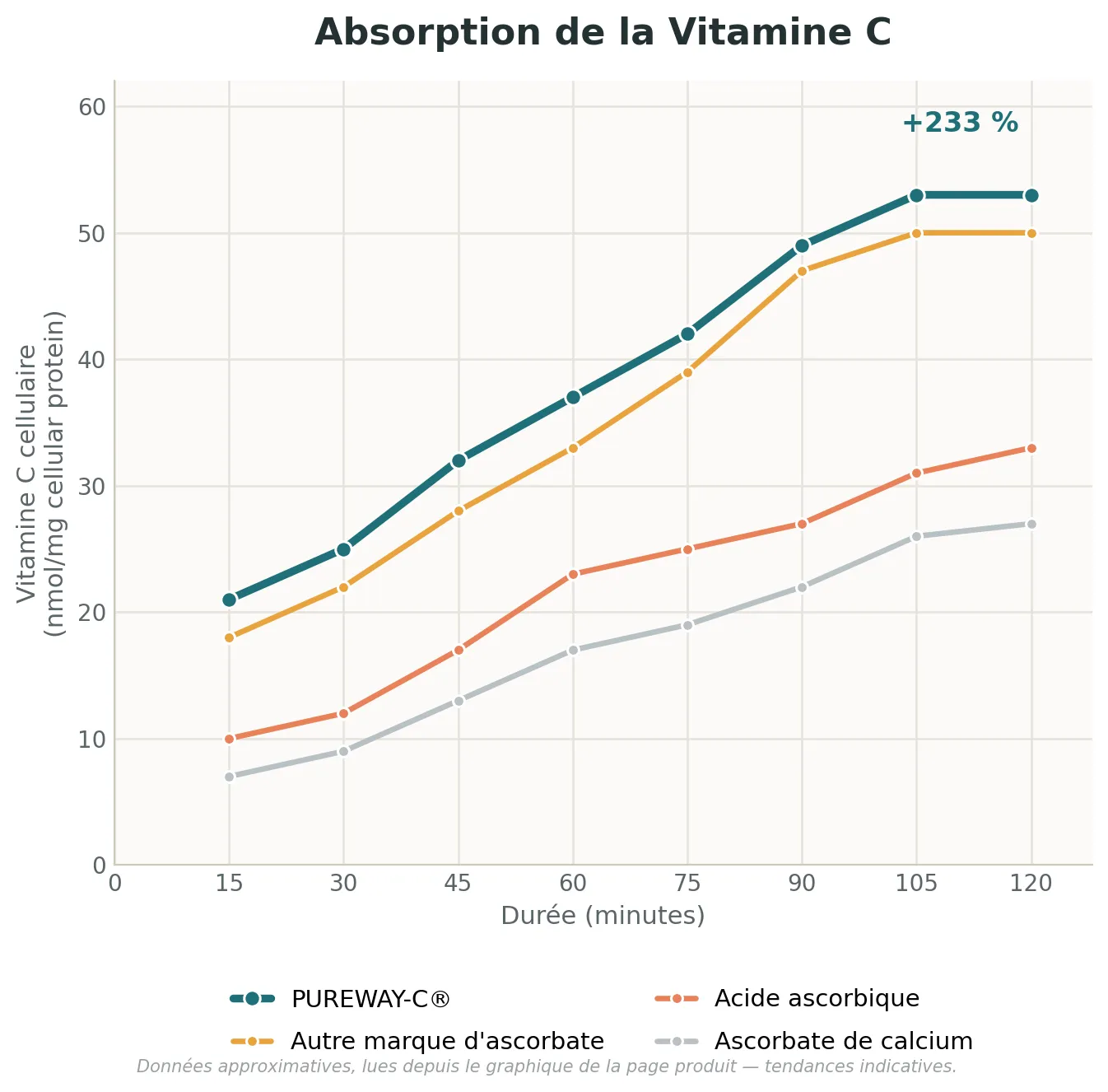 Graphique d'absorption PUREWAY-C® vs vitamine C classique